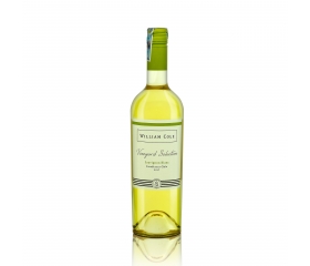 Rượu vang William Cole Sauvignon Blanc